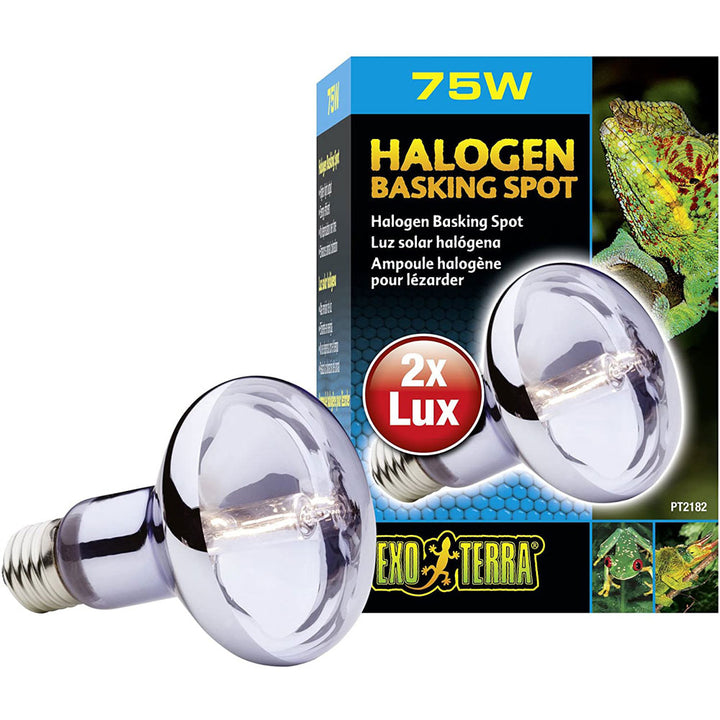 Exo Terra Halogen Basking Spot, 75 W