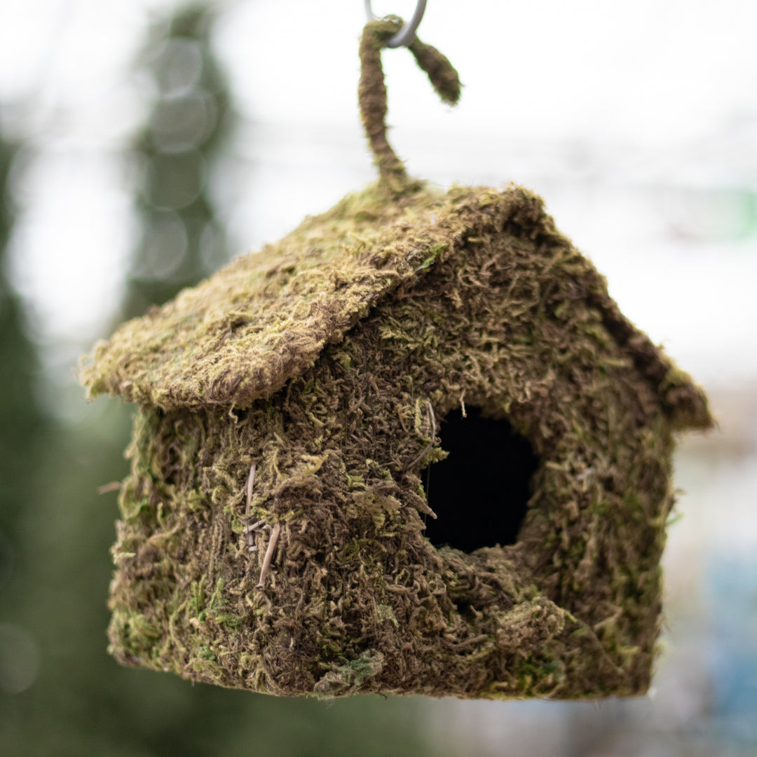 Birdhouse made from moss material - typical house with hole and peaked top