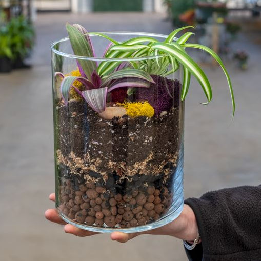 Workshop Wednesdays: Glass Terrarium