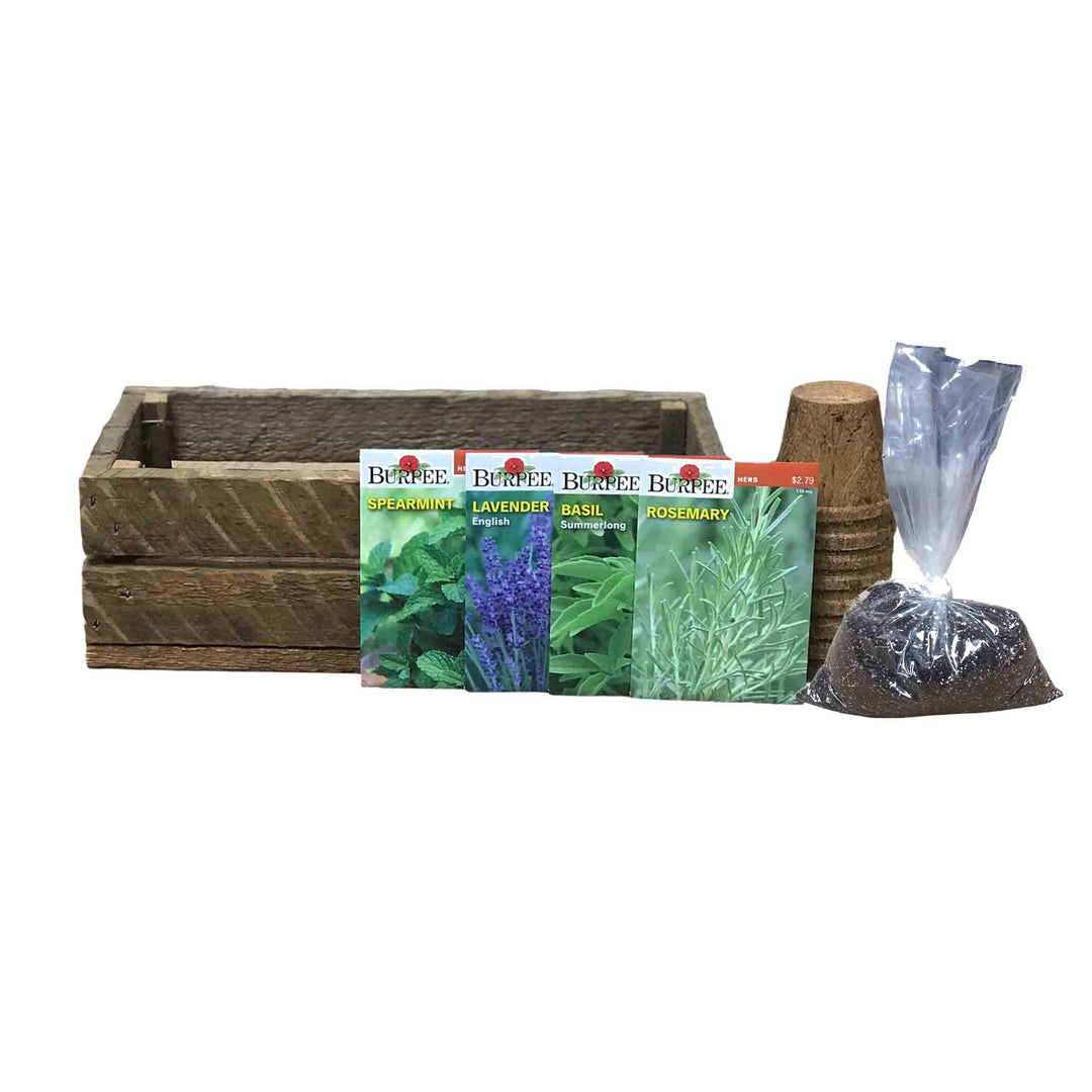 Grow Your Own Cocktail Kit