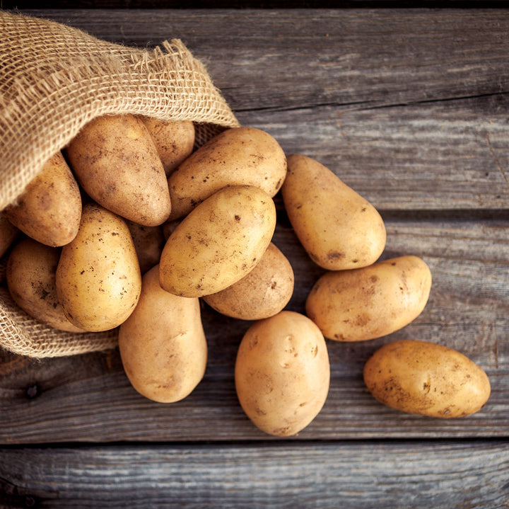 Bushel of Potatoes