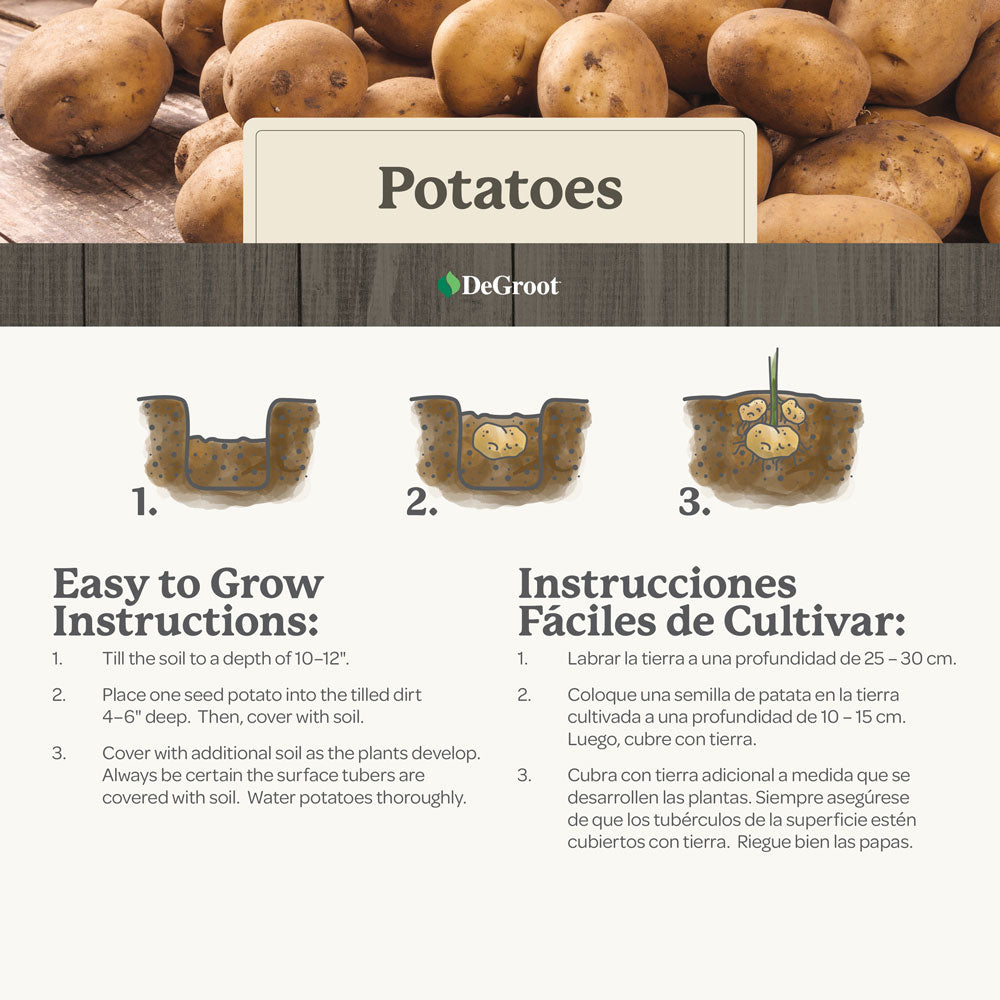 Bushel of Potatoes