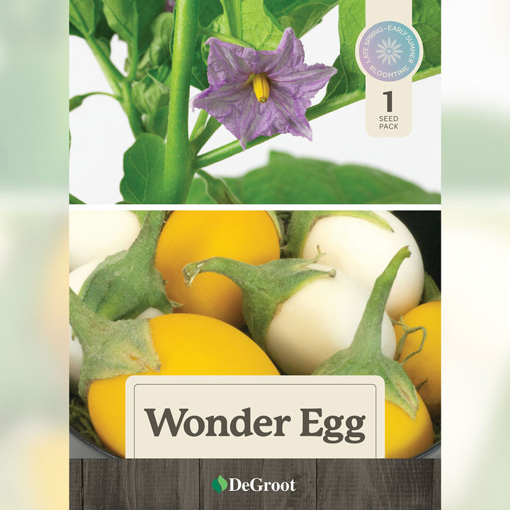 Wonder Egg