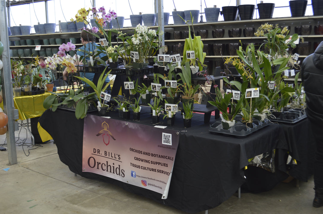 Houseplant Party Event Admission - January 17th 2026