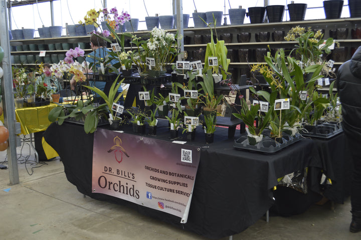 Houseplant Party Event Admission - January 17th 2026