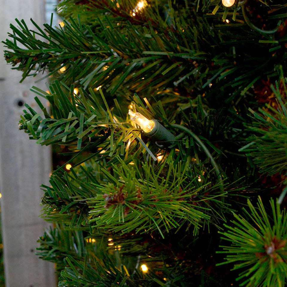 6.5' Darwin Pencil Lifelike Tree, Pre-Lit Clear Lights