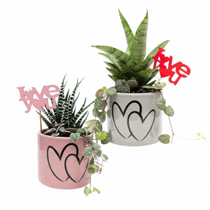 Double Love Valentine’s Mini Garden - Sold Separately