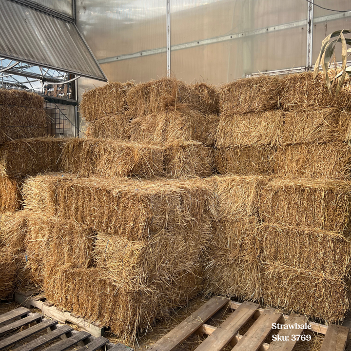 Strawbale