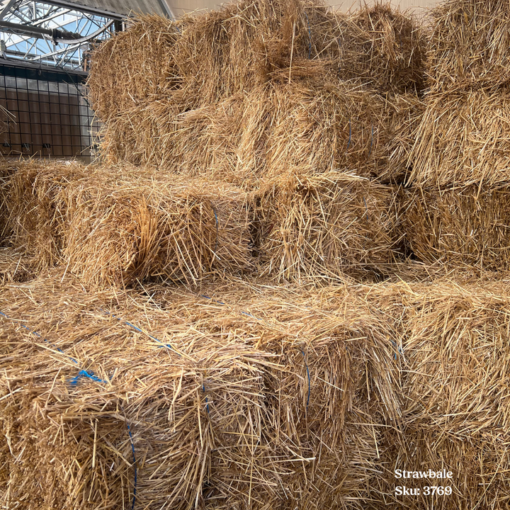 Strawbale