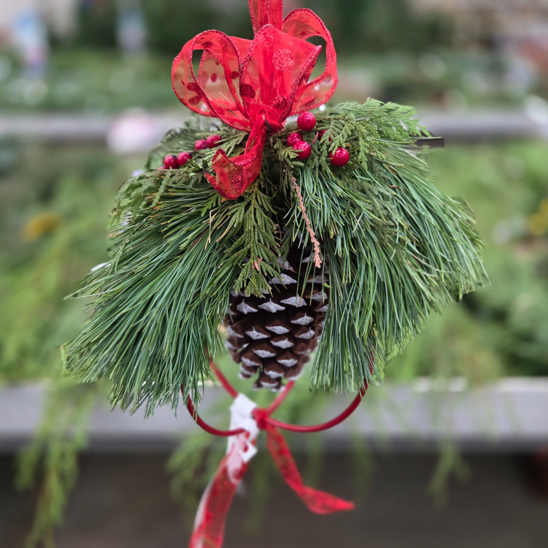 Pinecone Kissing Ball, 12" Fresh Greenery Hanging Décor