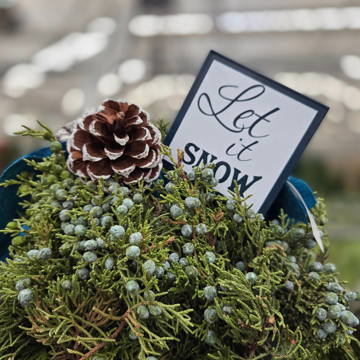 Let it Snow 10" Hanging Basket, Fresh Cut Greenery Arrangement