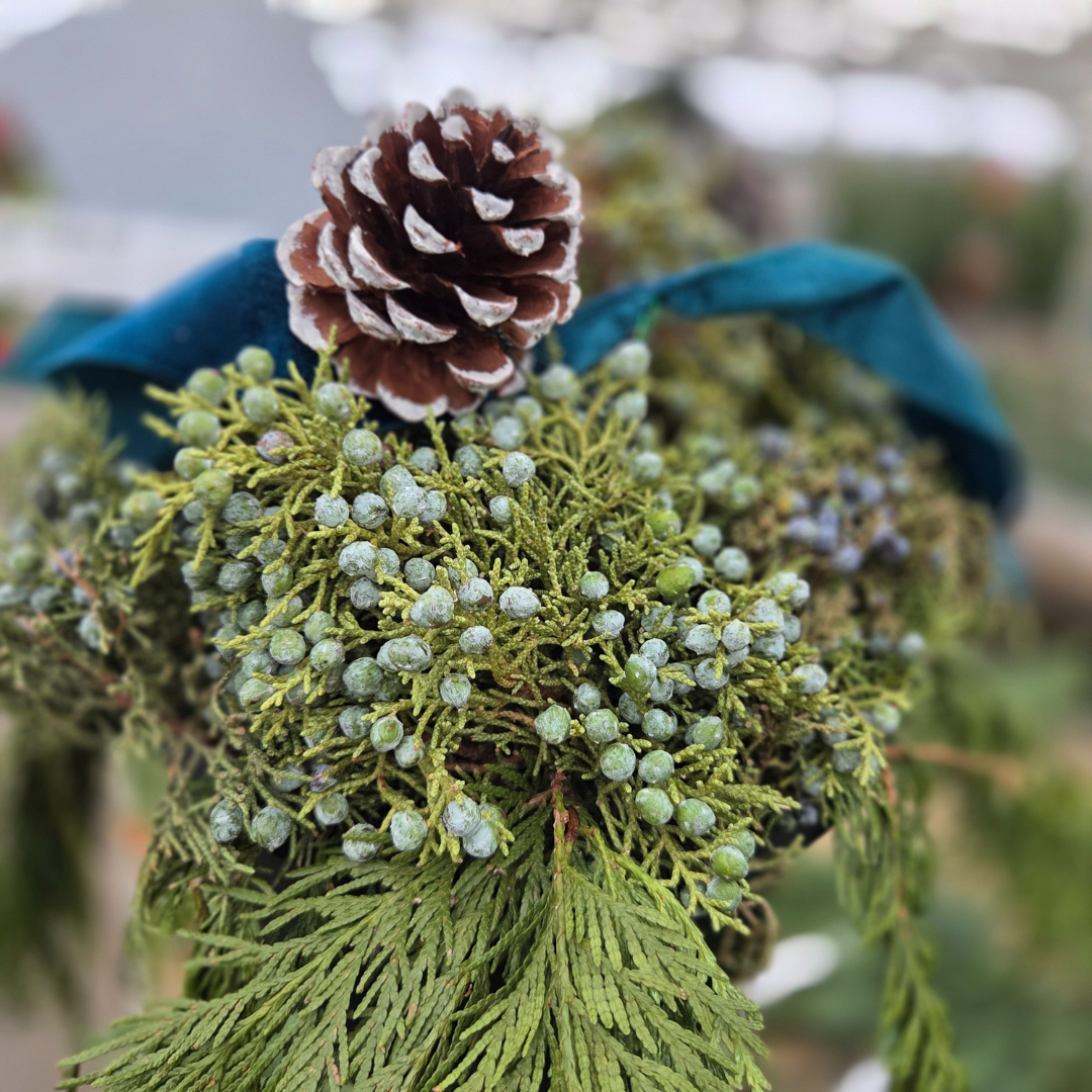 Let it Snow 10" Hanging Basket, Fresh Cut Greenery Arrangement