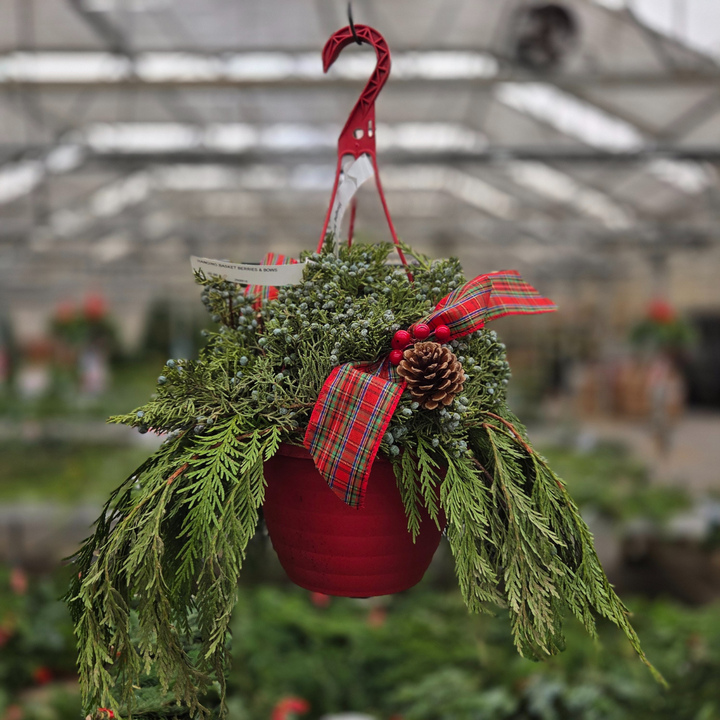 Berries & Bows 10" Hanging Basket, Fresh Cut Greenery Arrangement