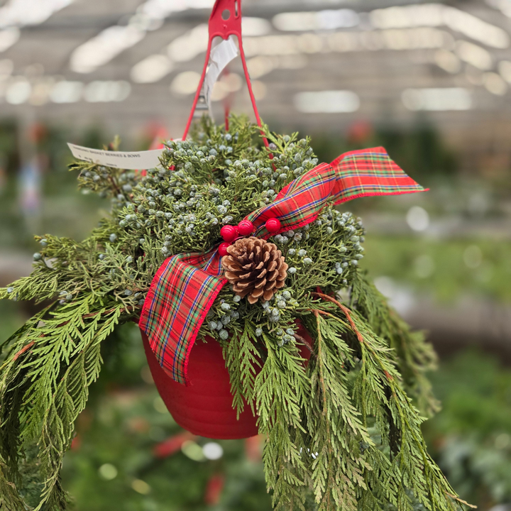 Berries & Bows 10" Hanging Basket, Fresh Cut Greenery Arrangement