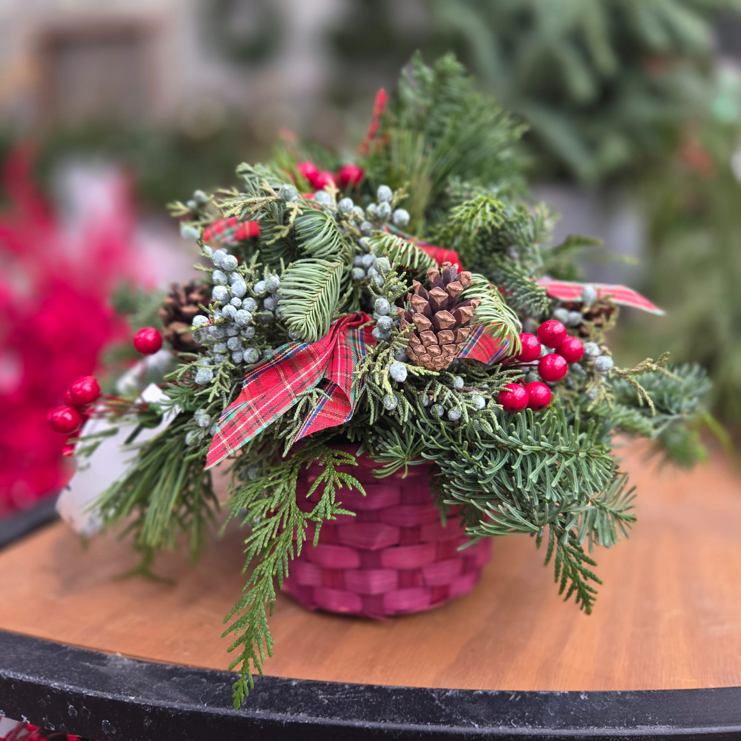 Berries & Bows Centerpiece, Fresh Greenery Arrangement