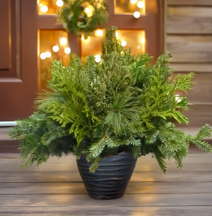 Create a Porch Pot: Fresh Winter Greenery Holiday Arrangement Workshop