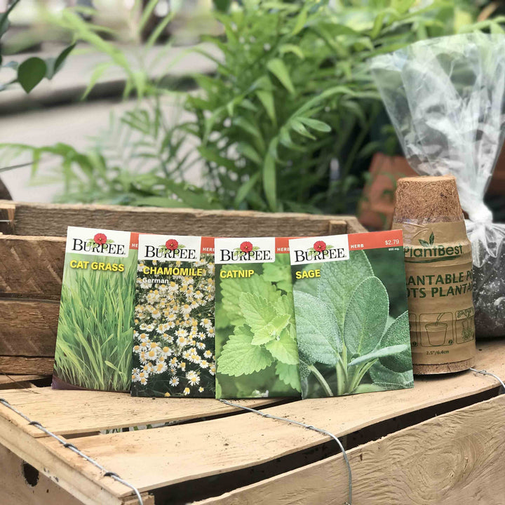 Grow Your Own Pet Friendly Veggie & Herb Kit