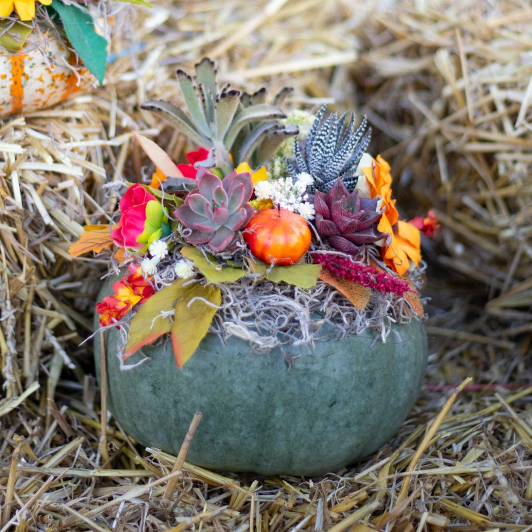 Pumpkin Succulent Centerpiece Workshop