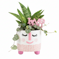 Rosie Valentine’s - Tough Lady Mini