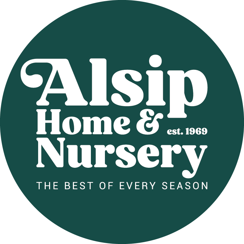 Services Alsip Nursery services-alsip-nursery