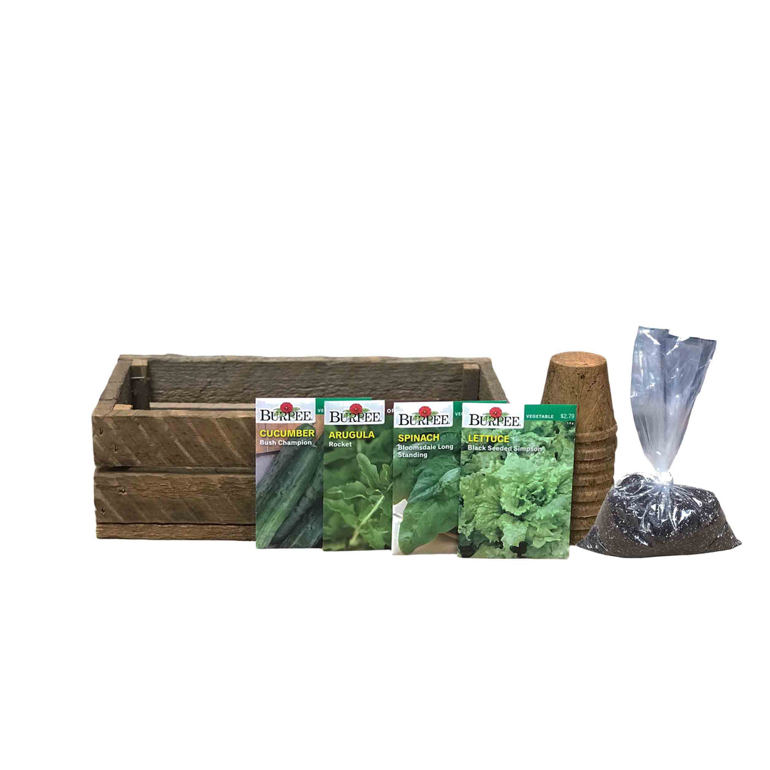 Grow Your Own Salad Kit