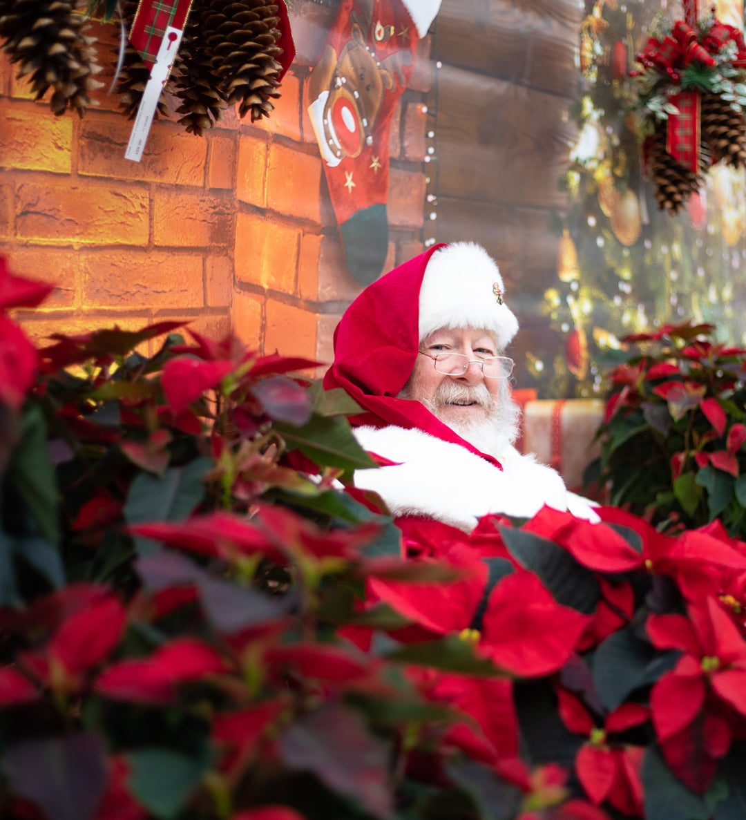 Santa Meet & Greet Tickets 11/22 & 11/23