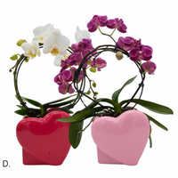 Heart-shaped pink and red planters with orchids on a white background