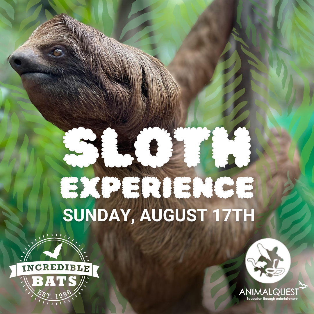 Sloth Experience - August 17, 2025
