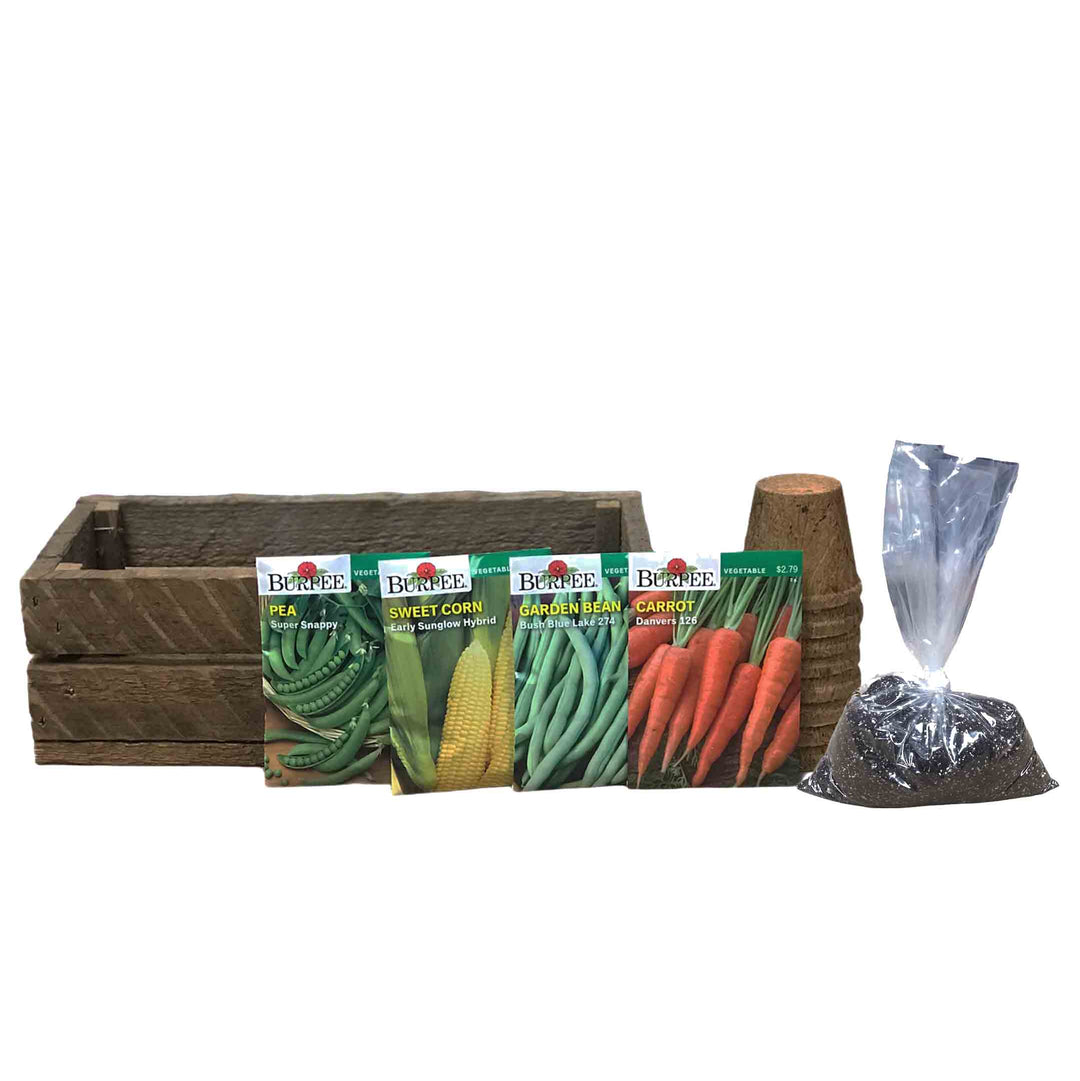 Grow Your Own Vegetable Soup Kit