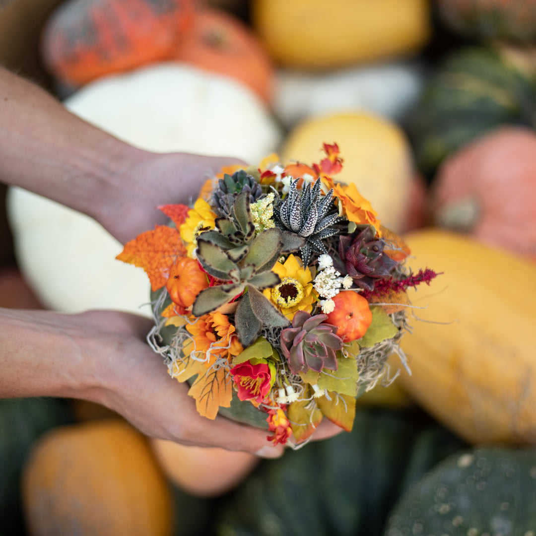 Pumpkin Succulent Centerpiece Workshop