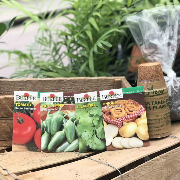 Grow Your Own Taco Kit