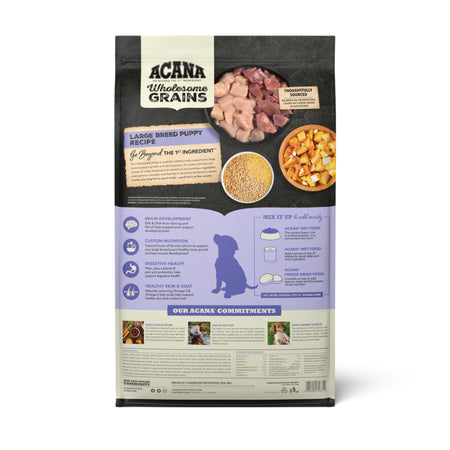 Acana Wholesome Grains Large Breed Puppy Recipe, 22.5 lb