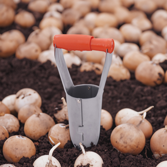 Releasable Bulb Planter