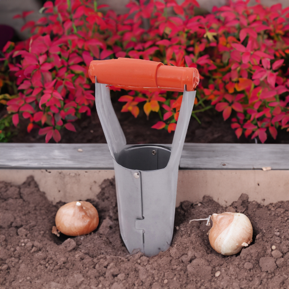 Releasable Bulb Planter