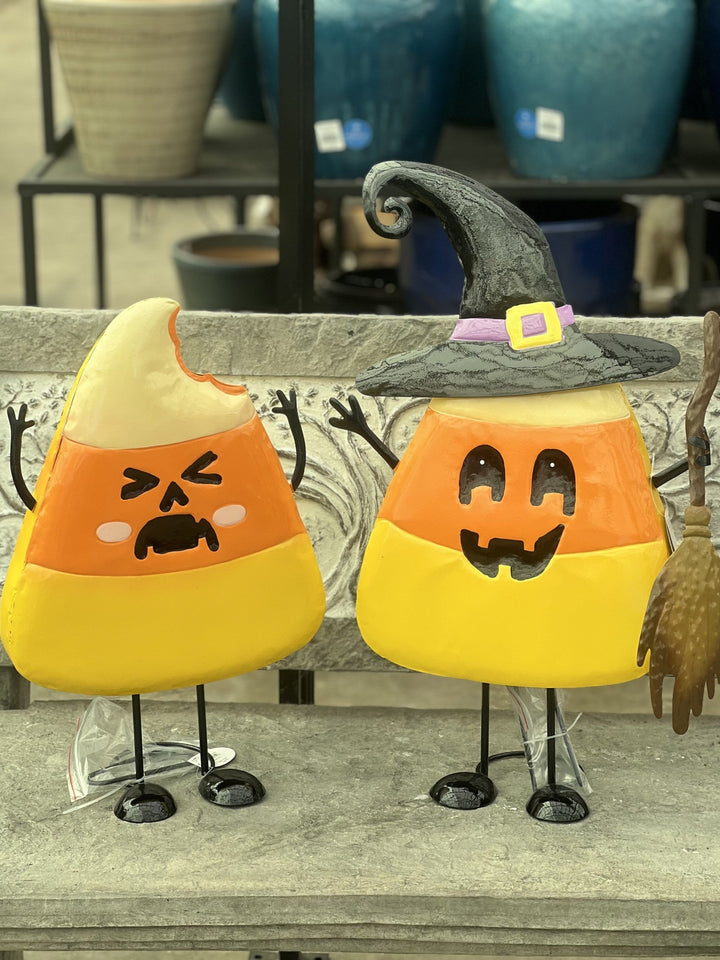 Clara Corny Witch Bouncy Greeter