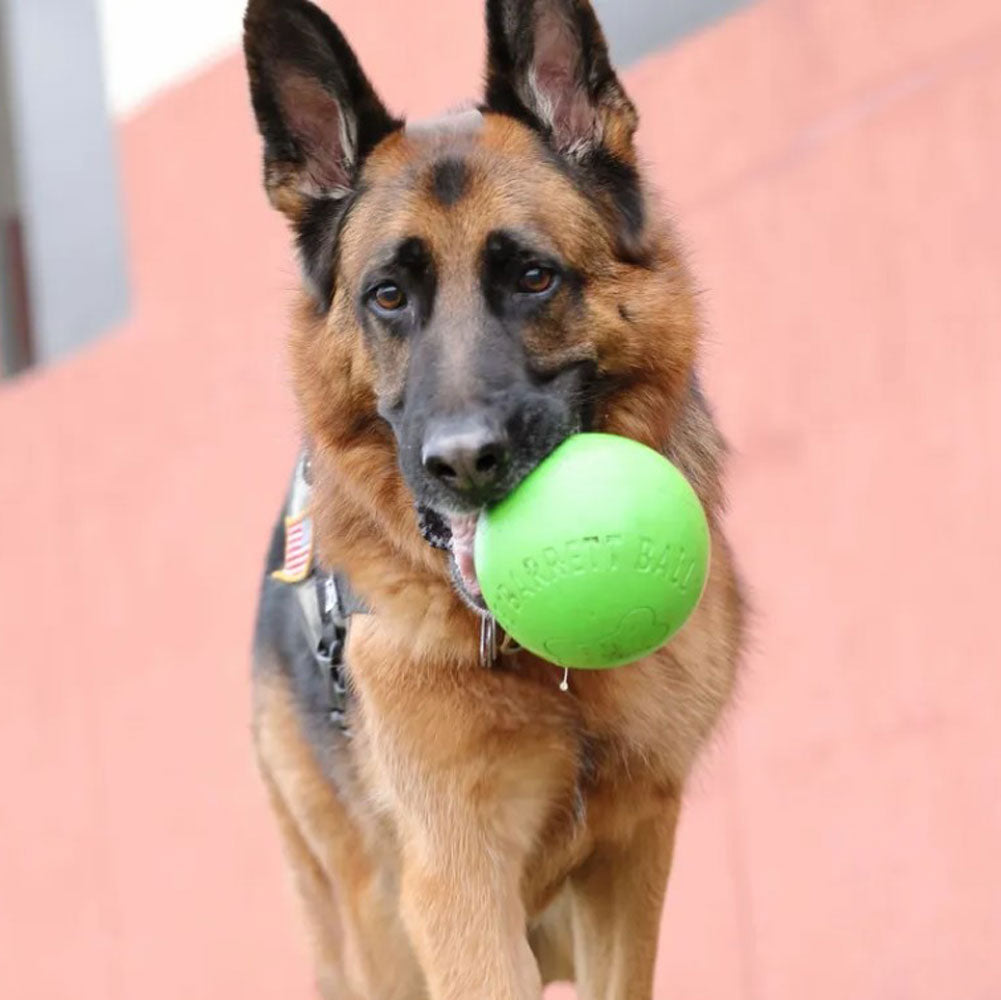 Barrett Balls, Sold Separately