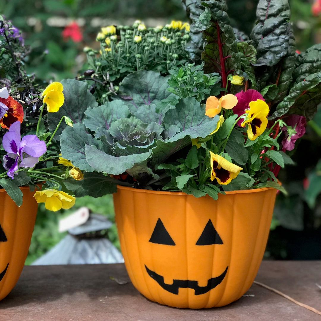 Fall Container Workshop