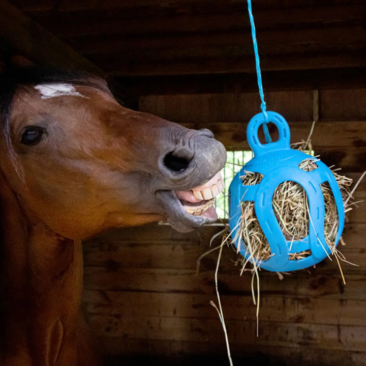 Jolly Pet, Jolly Hay Ball, Blue