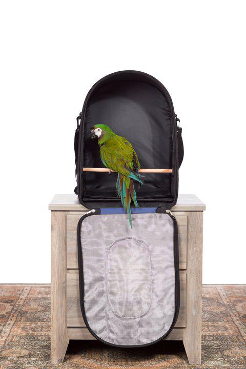 Prevue, Bird Carrier Backpack, Blue