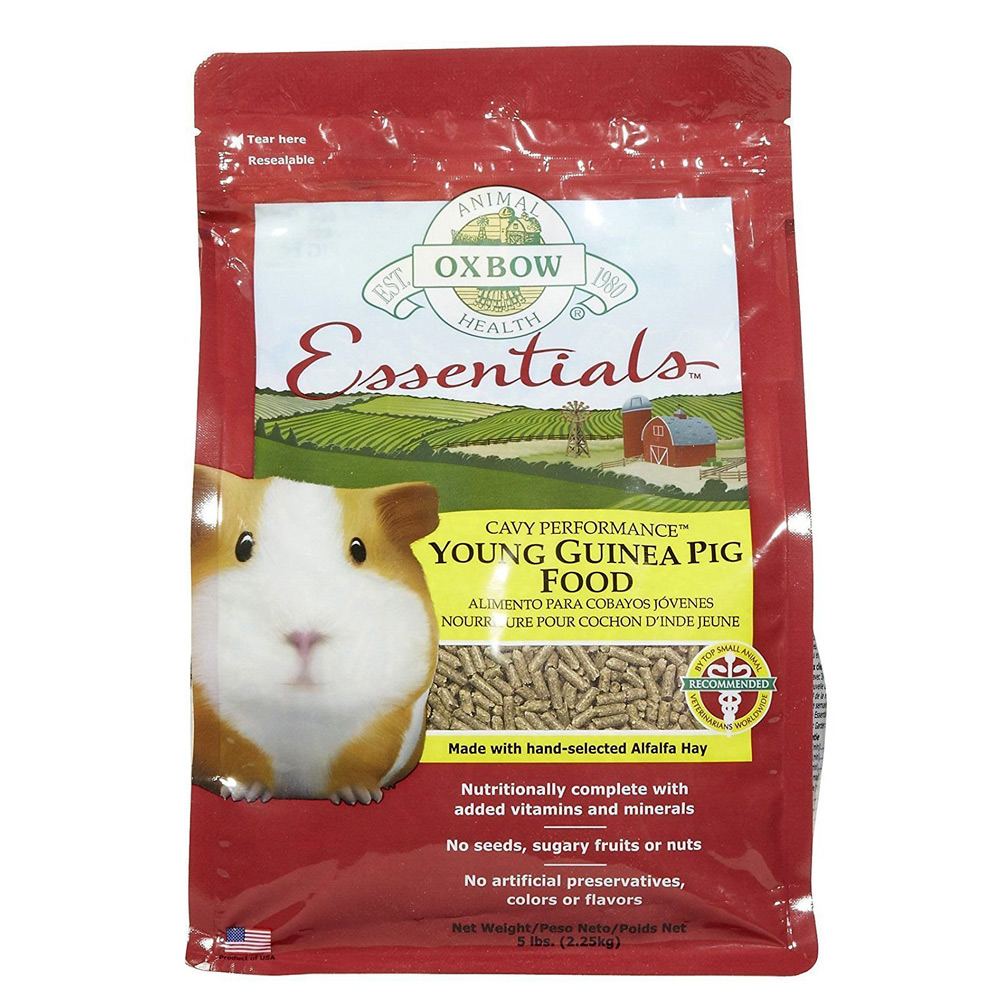 essentials for guinea pigs