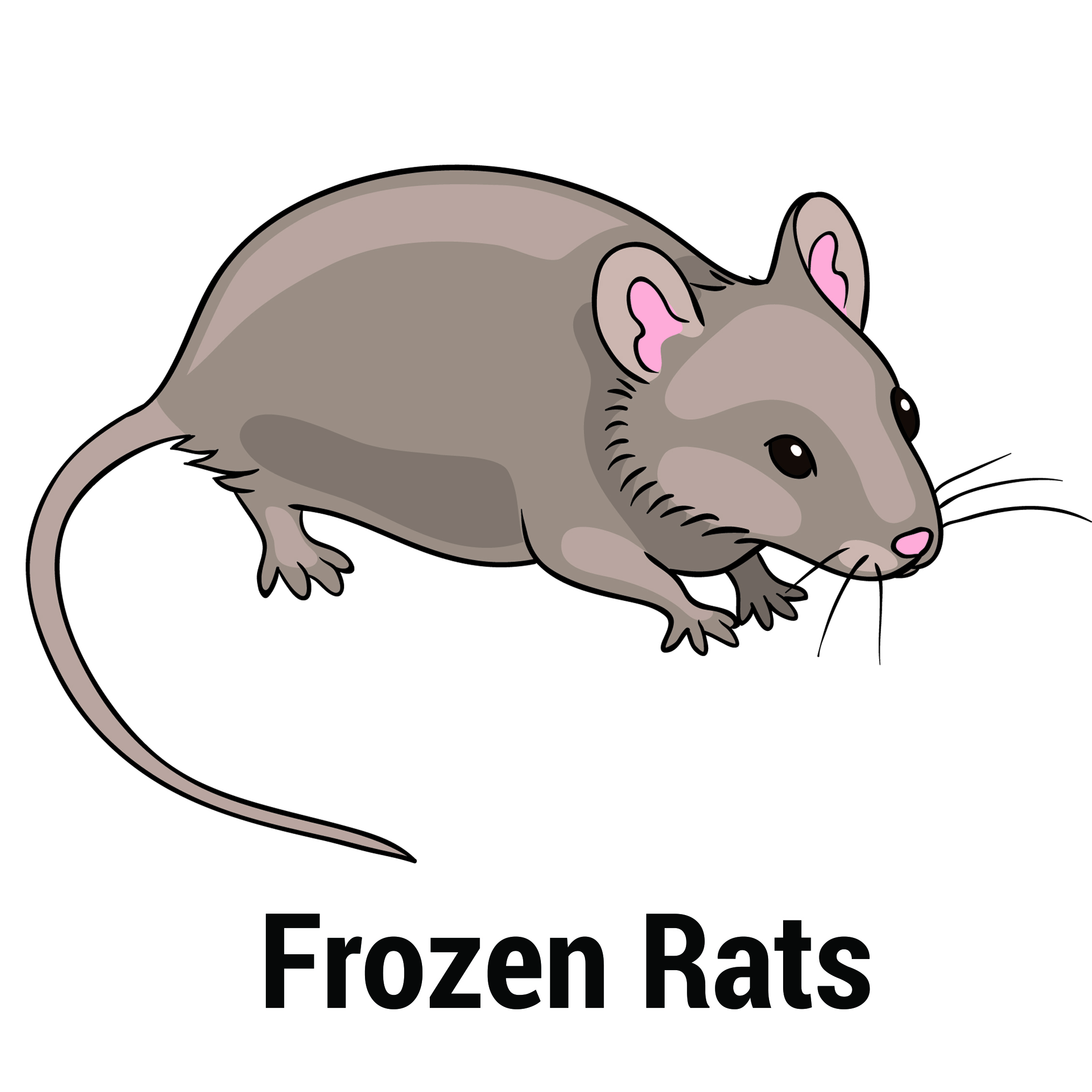 frozen feeder rats
