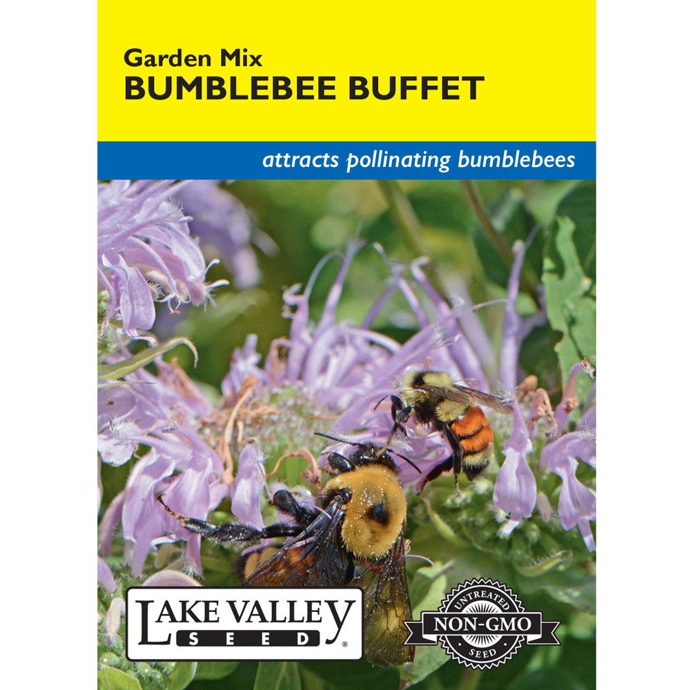 Lake Valley, Bumblebee Buffet Garden Mix - Alsip Home & Nursery
