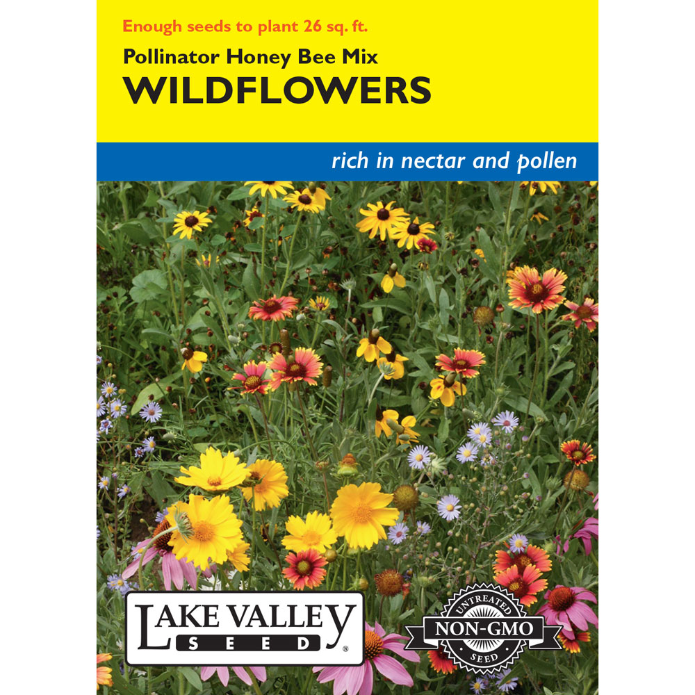 Lake Valley, Wildflowers, Pollinator Honey Bee - Alsip Home & Nursery